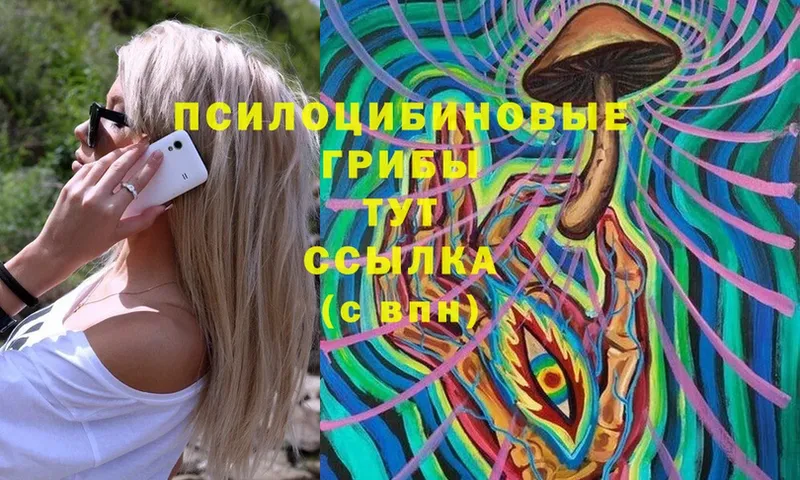 Галлюциногенные грибы Cubensis  Байкальск 